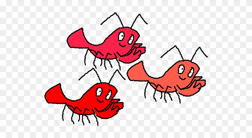 Shrimp - Shrimp #1095889