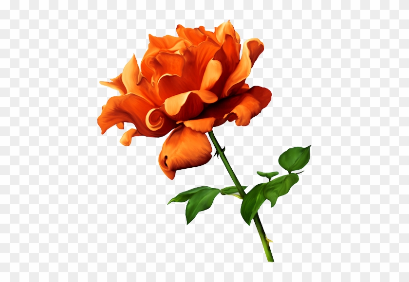 Roses,pink,roze,rosa, - Marienkäfer-fee Auf Roten Rosen Karte #1096234