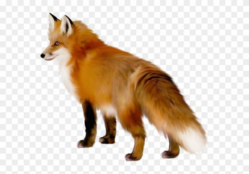 Transparent Fox Clipart - Fox Clipart #1096766