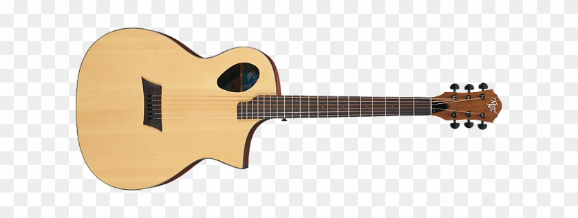 Michael Kelly Forte Port Acoustic Electric Guitar New - Taking Pictures With Guitars #1098547