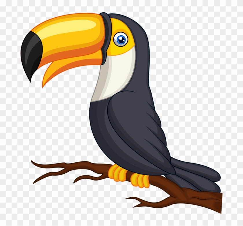 Toucan Clipart Cute Baby - รูป นก เงือก การ์ตูน #1098954