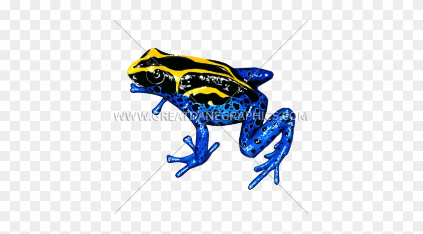 Yellow And Blue Frog - Tropical Tree Frog Blue Yellow And Black Spare Tire #1099247