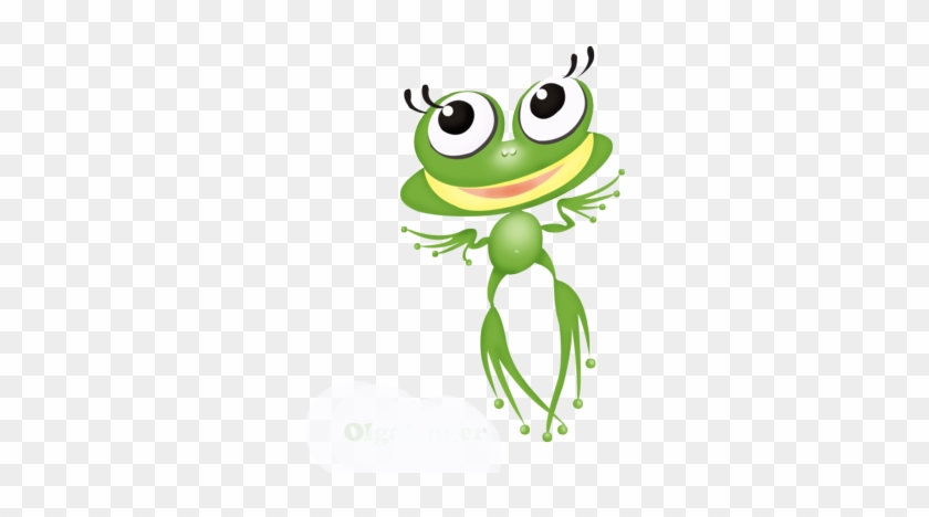 Explore Frogs And More - Лягушонка #1099249