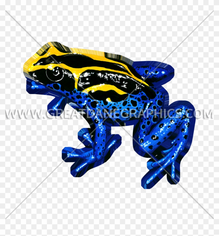 Tropical Tree Frog Blue Yellow And Black Spare Tire #1099251