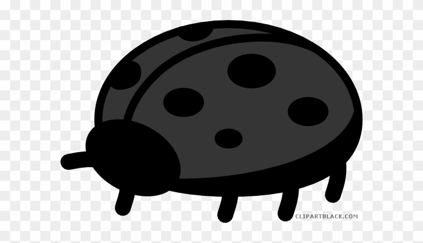 Ladybug Animal Free Black White Clipart Images Clipartblack - Ladybug Clip Art #1099274