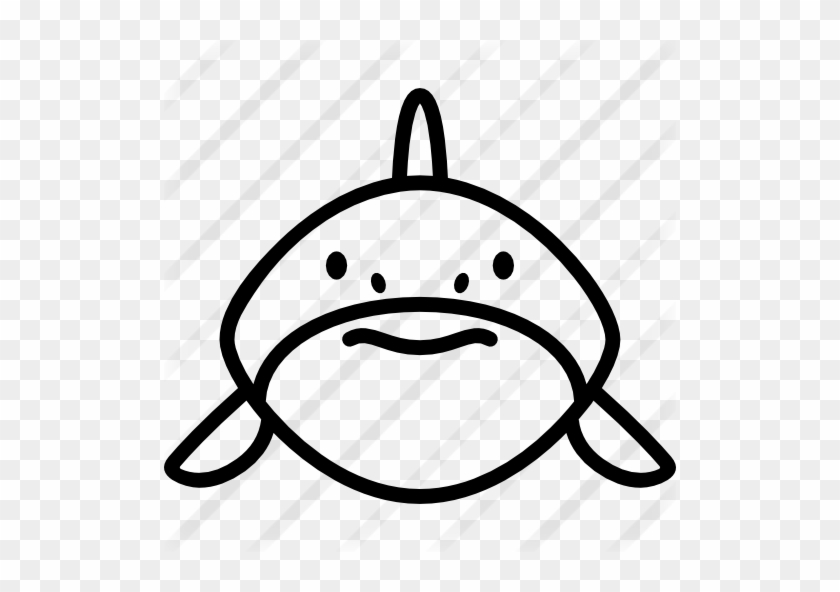 Shark - Shark #1099540