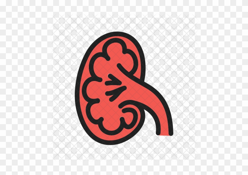 Kidney Icon - Hcs #1099607
