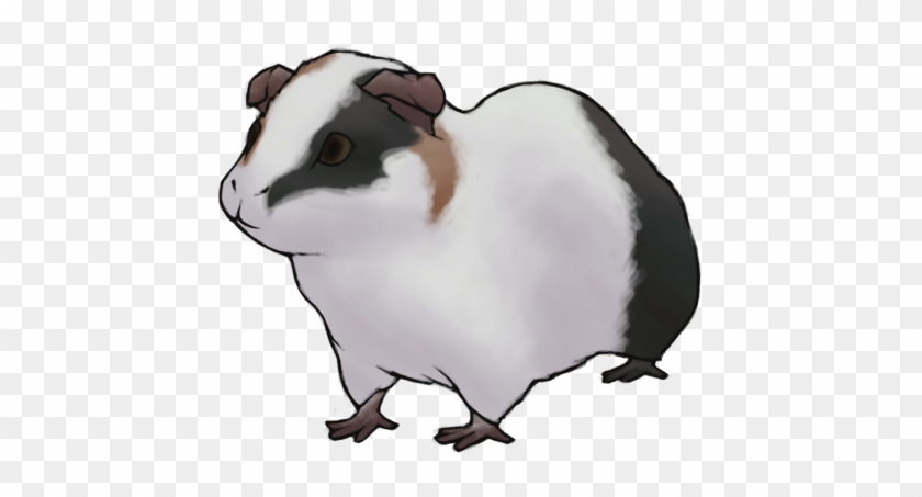 Guinea Pig By Islandnation - Guinea Pig #1099950