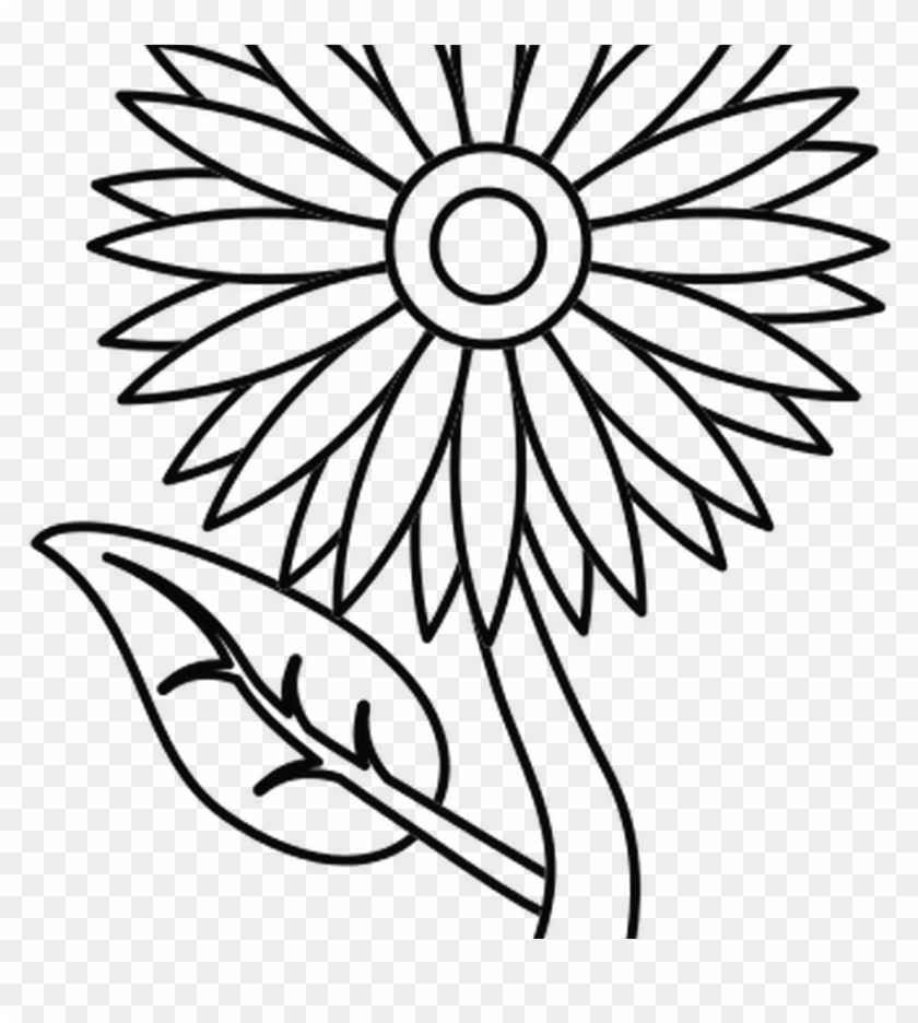 Sunflower Outline Pictures To Pin Thepinsta - Lotus Flower Png Clip Art #1100042
