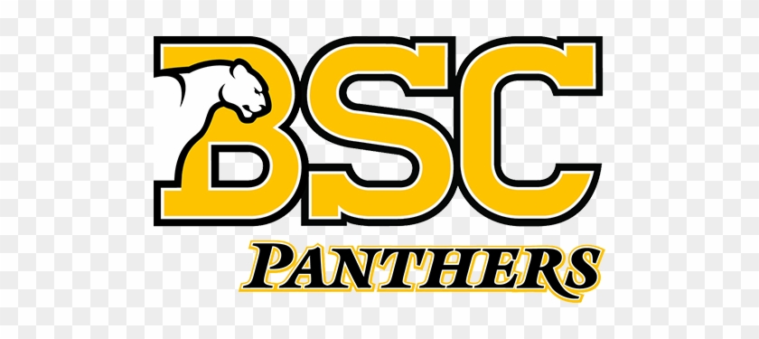 Birmingham Southern College Logo #1100718