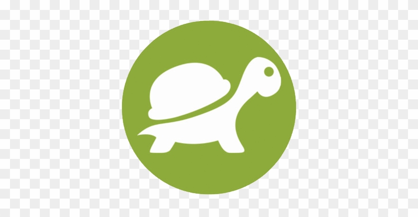 Reptiles And Amphibians - Alghero #1101373