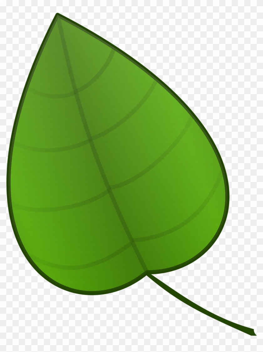 Leaf Cartoon #186346