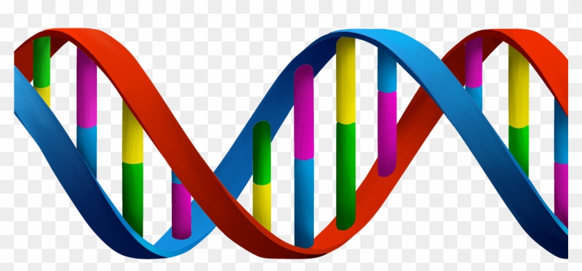 Thyroid Cancer Molecular Markers In A Blood Sample - Nucleic Acids Clipart #188085