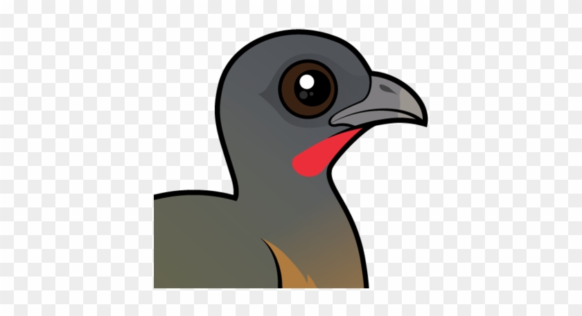 Plain Chachalaca - Cartoon #1103097