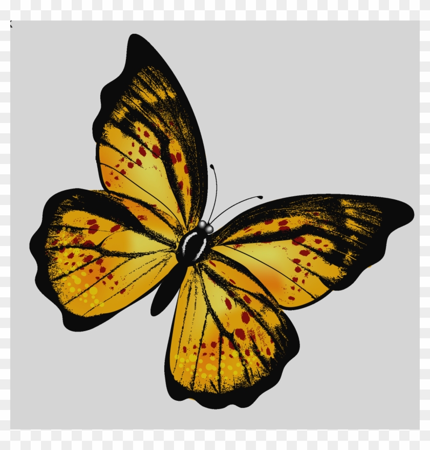 Per Aspera Ad Astra [book] #1105476