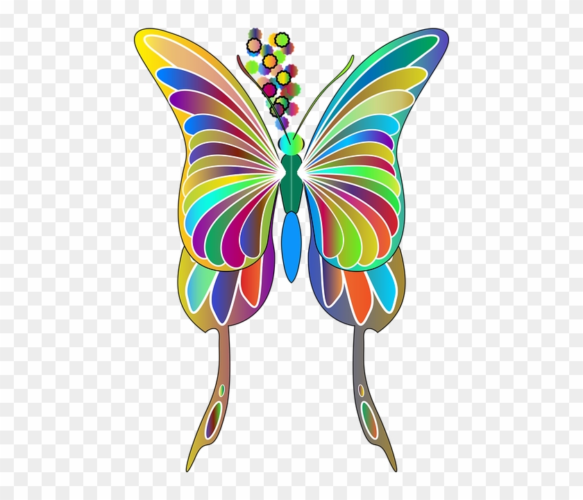 Butterfly #1105484