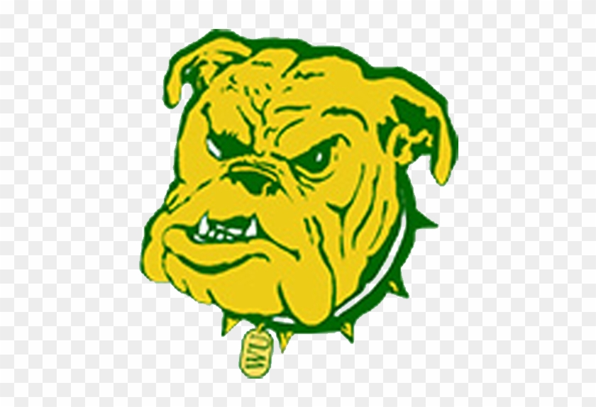 Big Rapids Cougar Women - Big Rapids Cougar Women #1106211