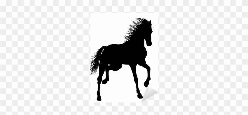Vector Graphics #1106916