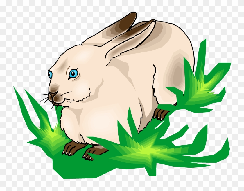 Free Rabbit Clipart - Cafepress The Rabbit Whisperer Rectangle Sticker Bumper #1107863