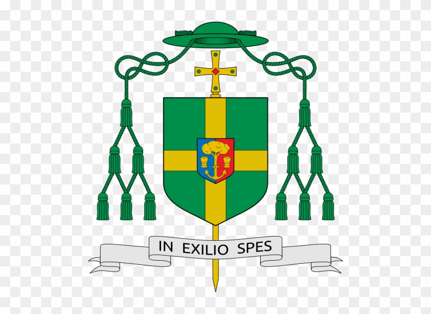 This Image Rendered As Png In Other Widths - Bishop Michael Dooley Dunedin Coat Of Arms #1107903