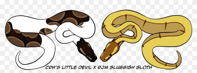 Devil X Sloth Breeding Announcement By Wolfhavenwoods - Devil X Sloth Breeding Announcement By Wolfhavenwoods #1108428