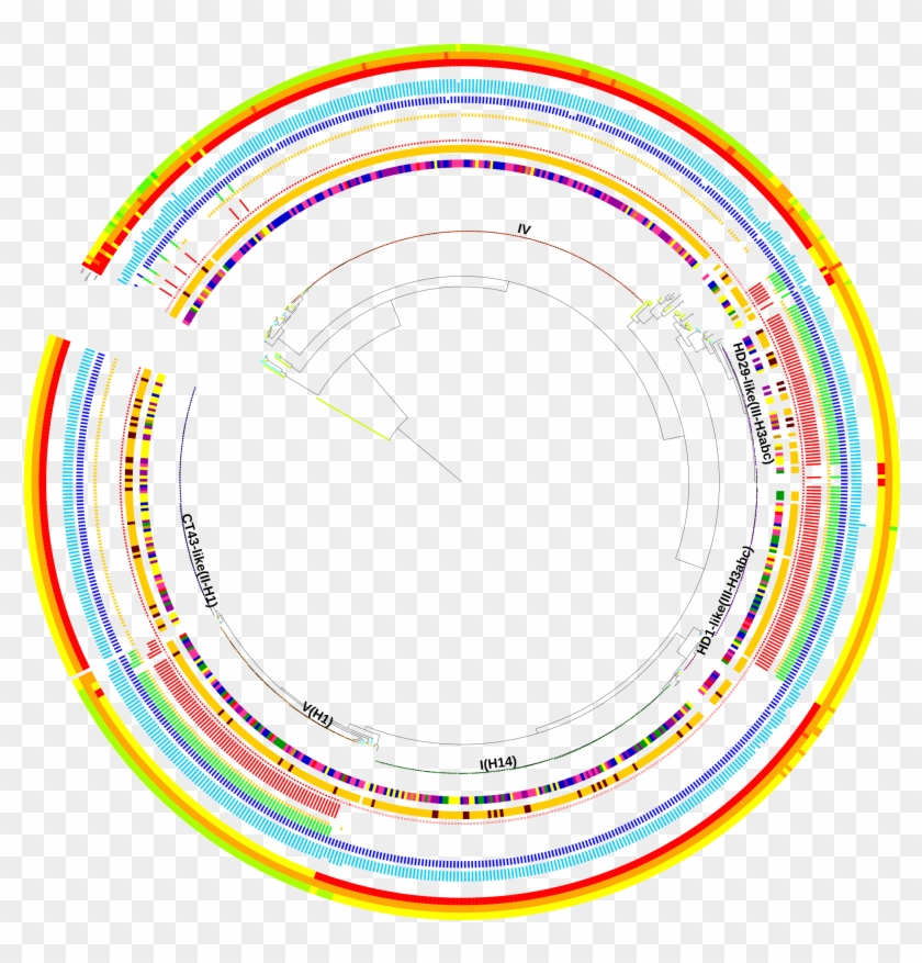 Colored Strips , Binary (red Squares), Followed By - Circle #1108677