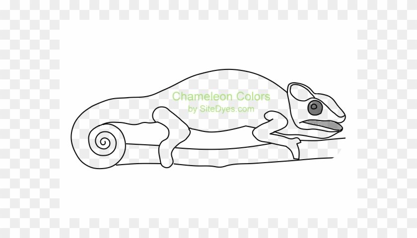 Crocodile #1108985