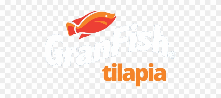 Etapas Tilapia - Tilapia #1109686