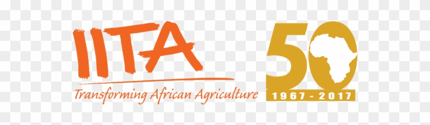 On Wednesday, The 8th Of November 2017, Feed To Grow - International Institute For Tropical Agriculture #1109740