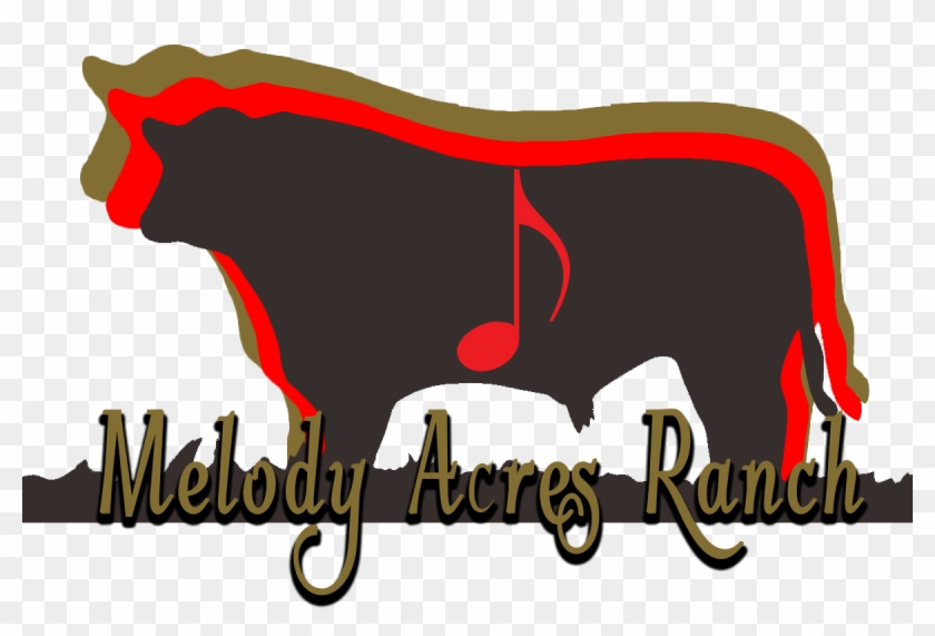 By Utilizing 35 Years Of Livestock Experience With - By Utilizing 35 Years Of Livestock Experience With #1110003
