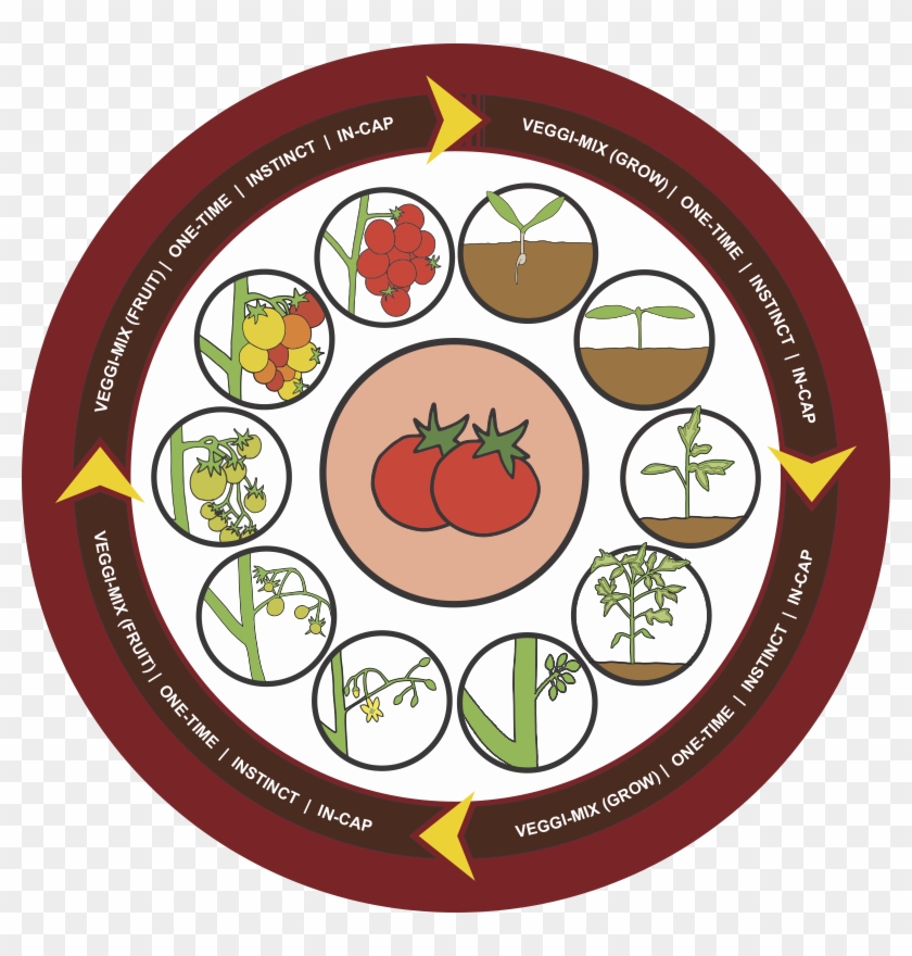 Tomato Clipart Crop - Crop #1110009