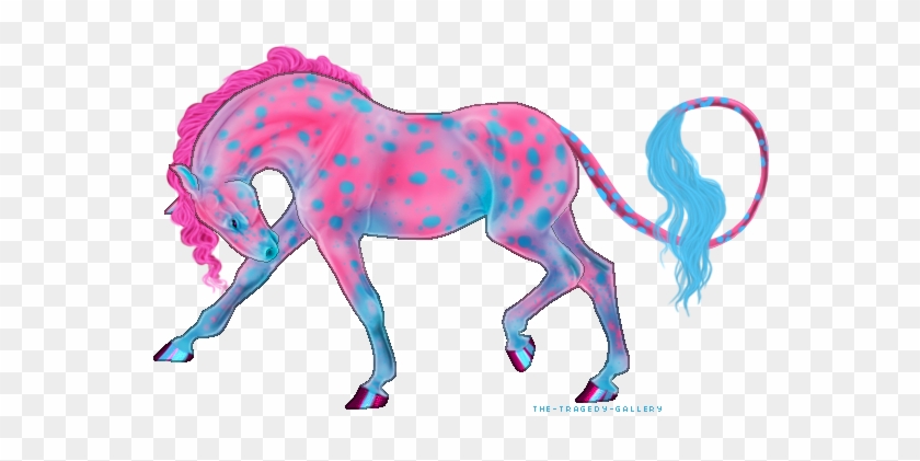 Appaloosa X Saddlebred X Thoroughbred Mix - Mane #1112711