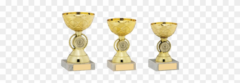 Trophy #1113094