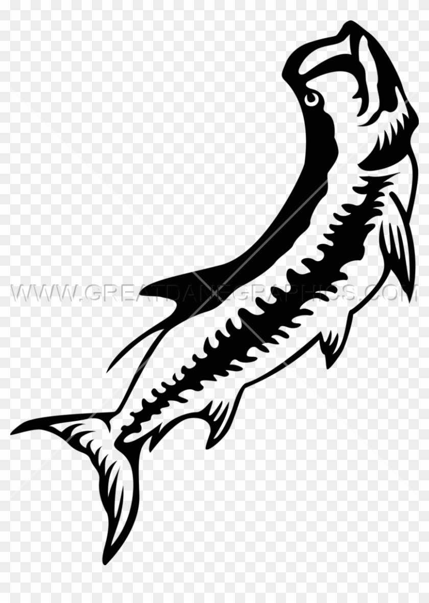 Tarpon - Illustration #1113652