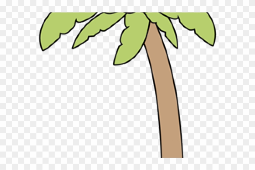 Palm Tree Clipart Plam Tree - Palm Tree Clipart Plam Tree #1113731
