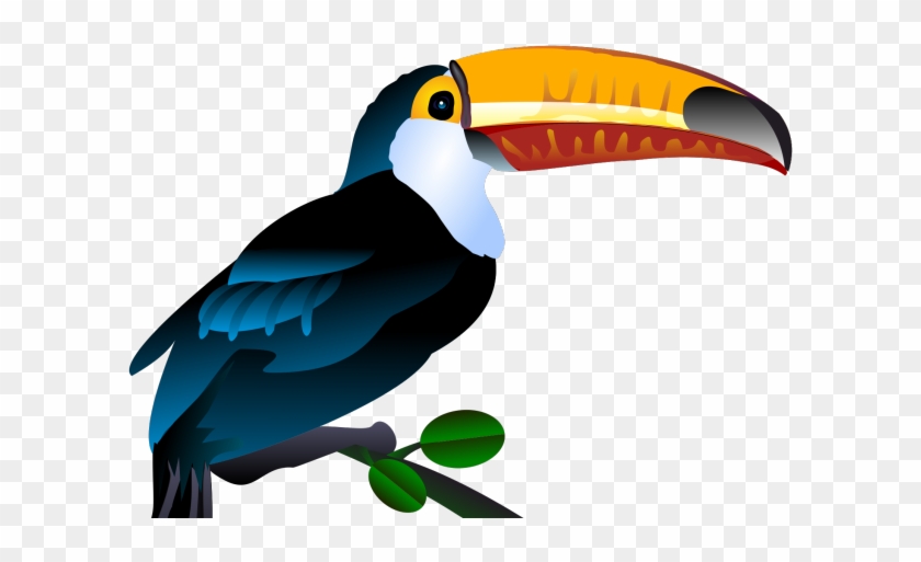 Toucan Clipart Painted - Transparent Background Toucans Clipart #1114999