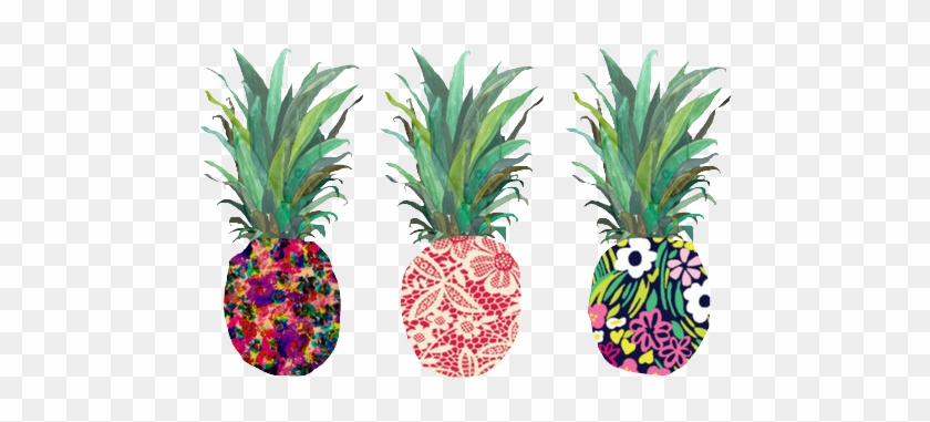 Pineapple Tumblr Transparent #1115397