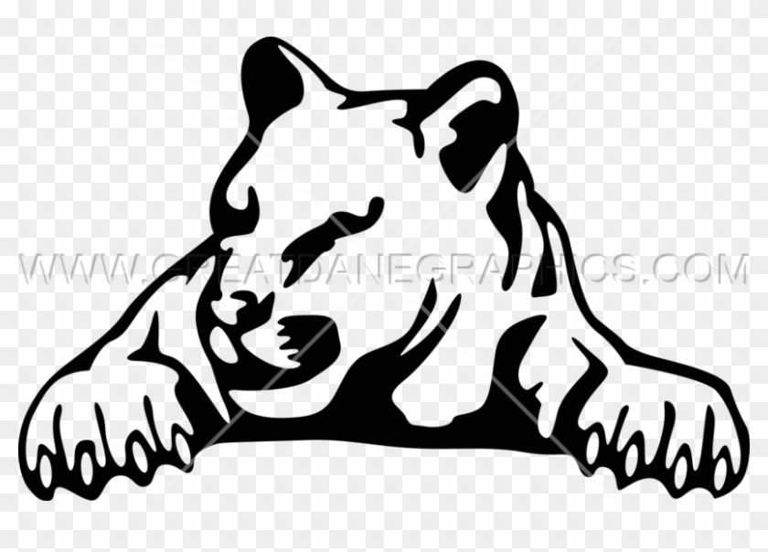 Cougar - Illustration #1115661