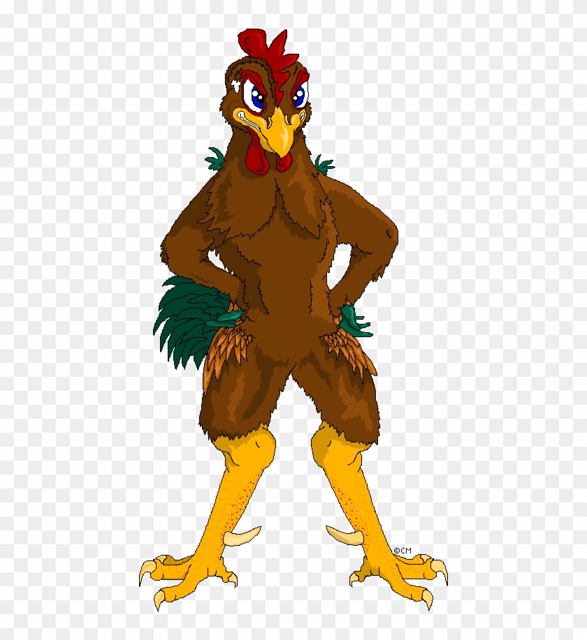 Chicken #1115834