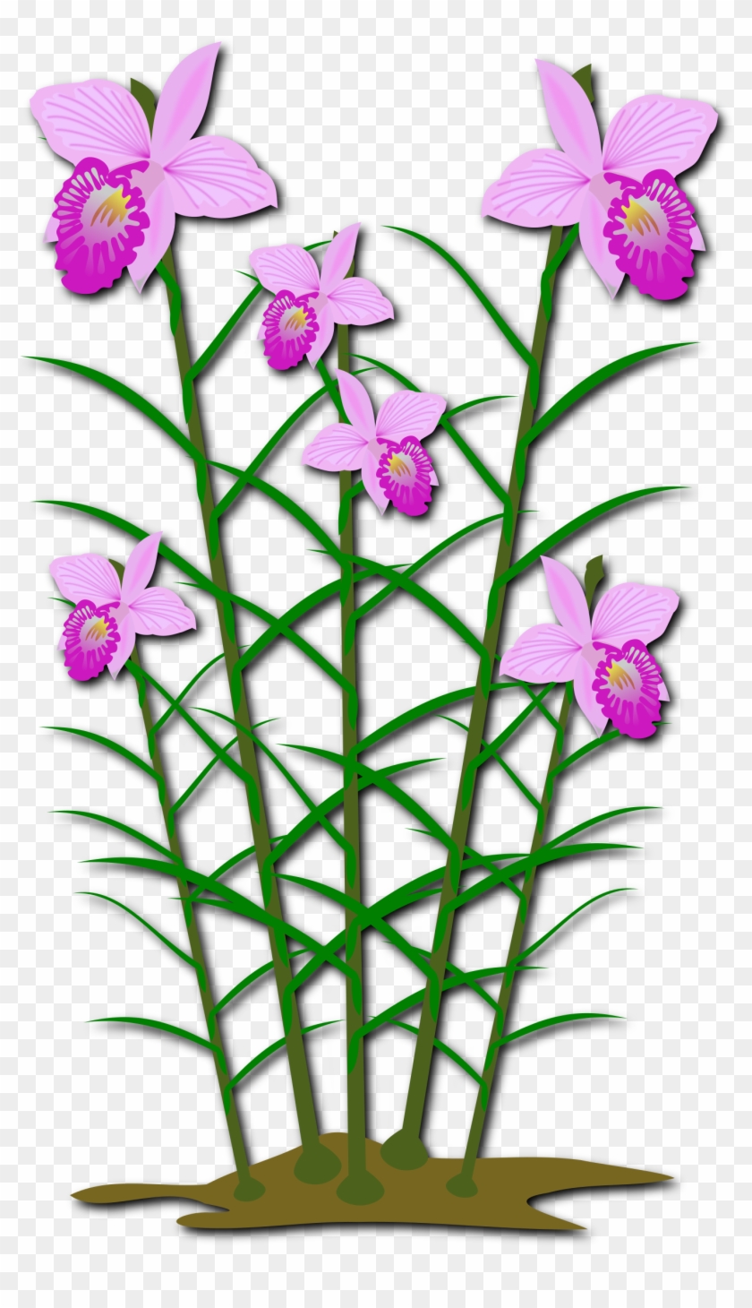 Big Image - Blumenblumen-gewohnheit Personifizieren Jahrestage #1115835