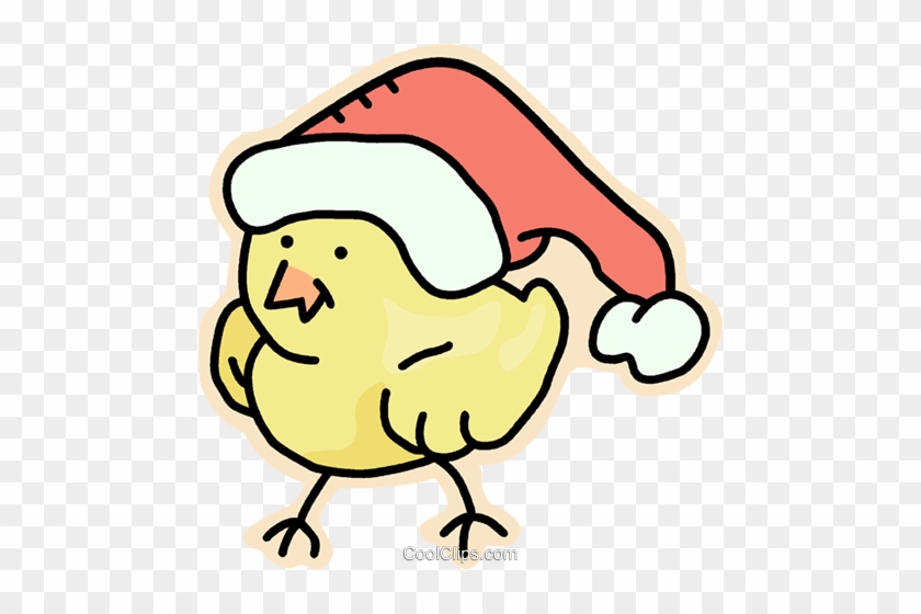Santa's Helper Royalty Free Vector Clip Art Illustration - Chickens With Christmas Hat #1116214