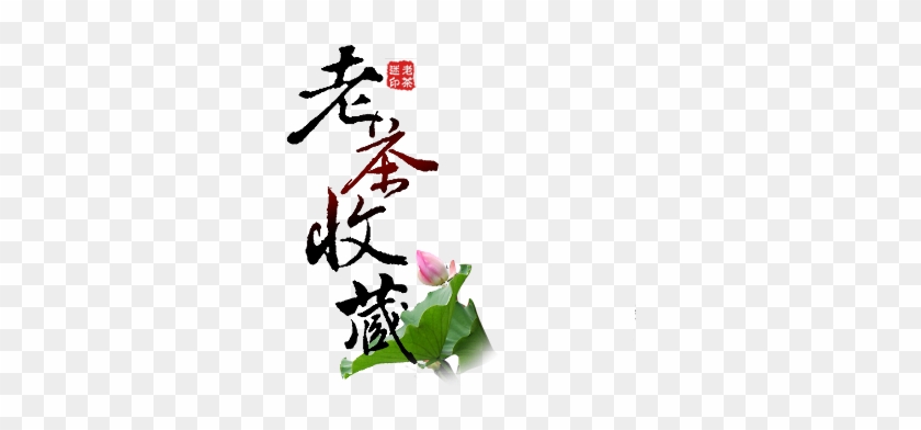 关于泾茯福茶-老茶谜 - Tea #1116594