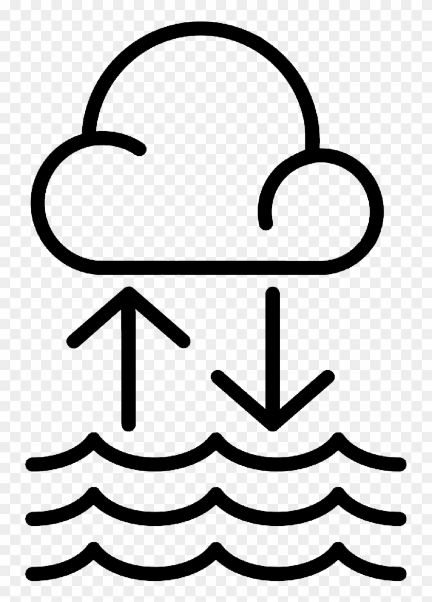 Rainwater Collected In The Basin Is Substantial And - Vector Graphics #1118154