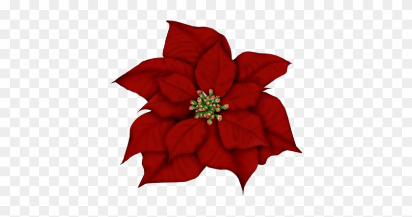 Lacarolita Dear Santa - Clip Art #1119153
