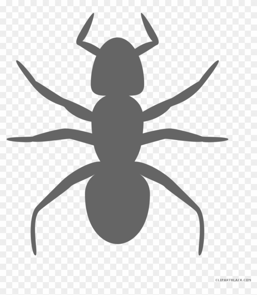 Black And White Ants Animal Free Black White Clipart - Ant Clip Art #1119423