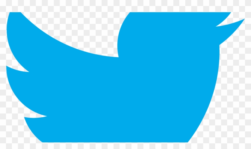 Icone Twitter Png #1119642