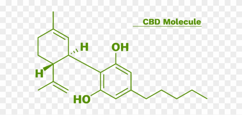 How Does Masaya World Differ From Other Cbd Oils - Structure #1119733