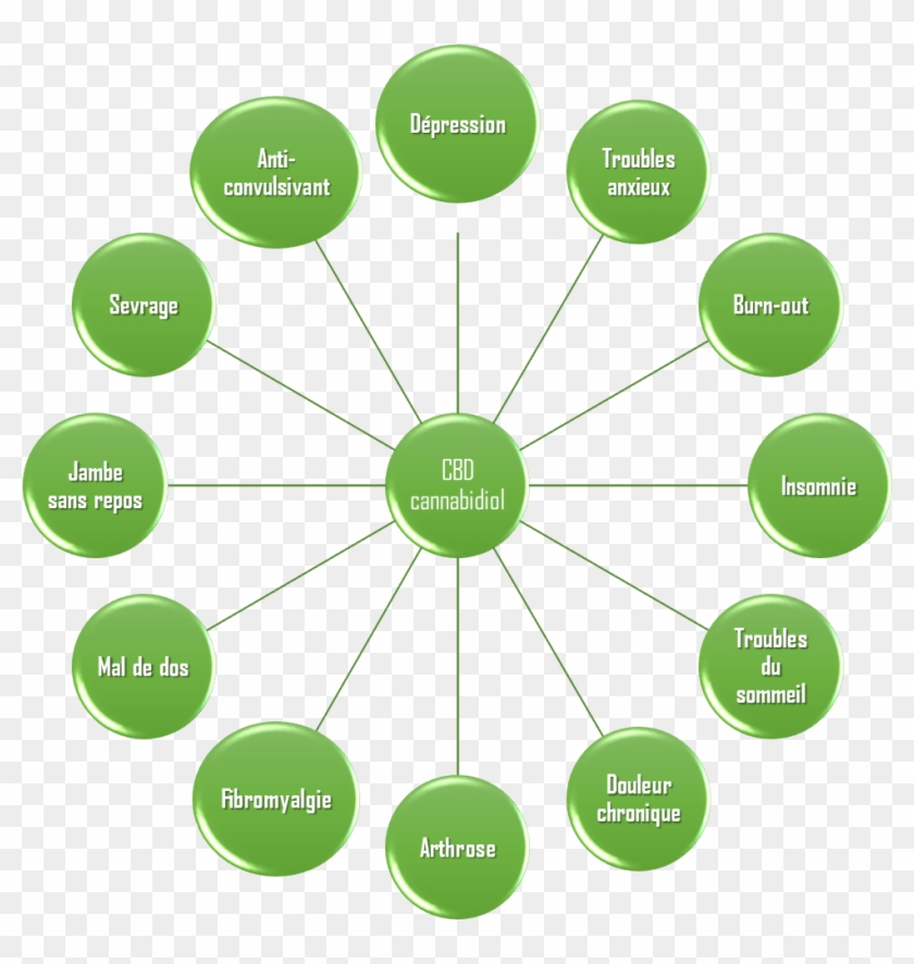 Les Différentes Utilisations De La Molécule De Cannabidiol - Free Please Wait Gif #1119747