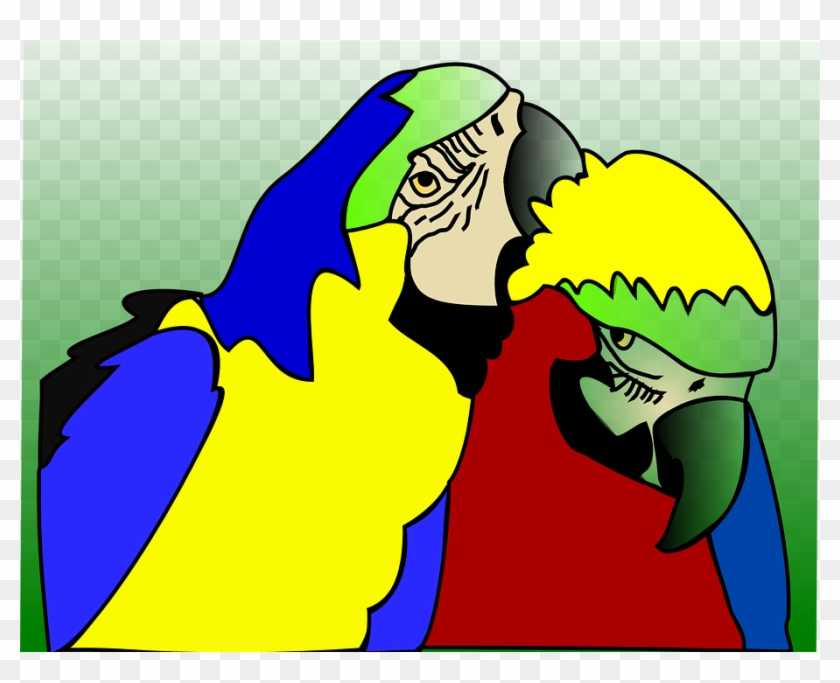 Parrots, Birds, Tropical - Clip Art #1119972