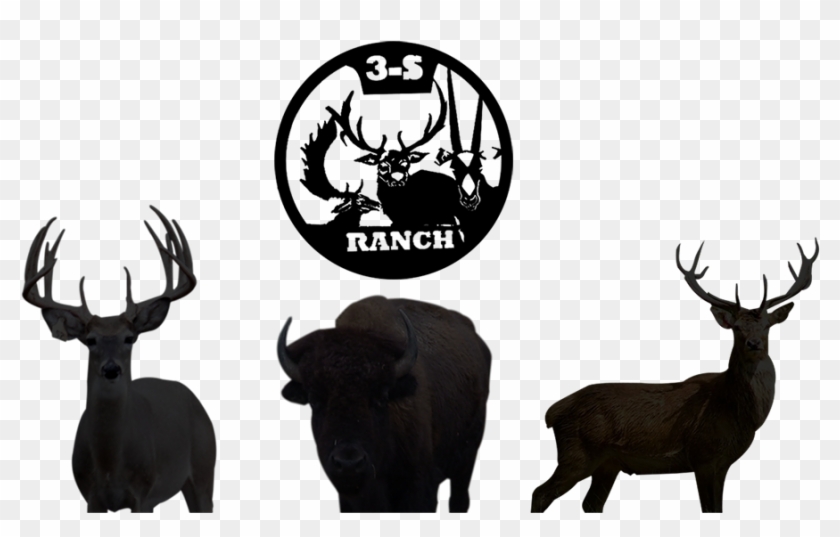3s Ranch - Bedias #1120281